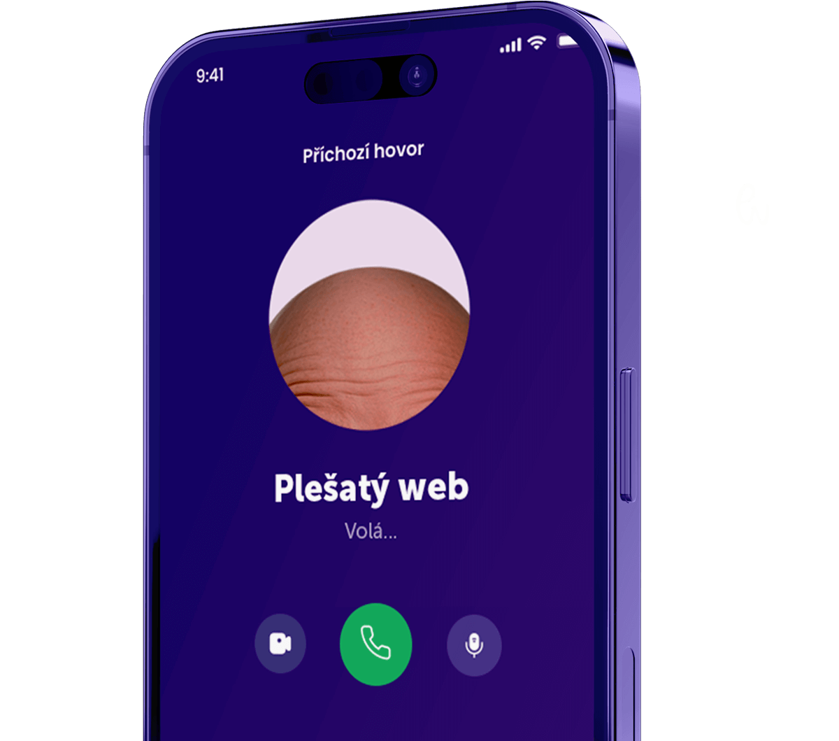 volat-plešatý-web (3)